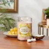 Glass Jar Mango Coconut Candle - Opalhouse™ -Opalhouse GUEST 86c199ef 4f61 4e98 b724 4f64945e7439